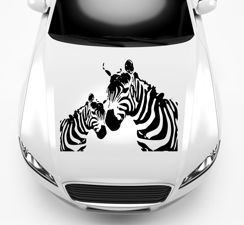 Aufkleber 46191 Zebra Duo